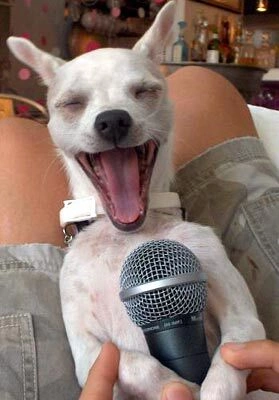 karaoke-1348745423_480x0.jpg