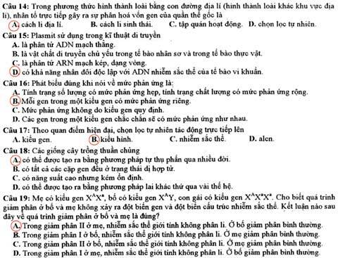 trang22-1348766460_480x0.jpg