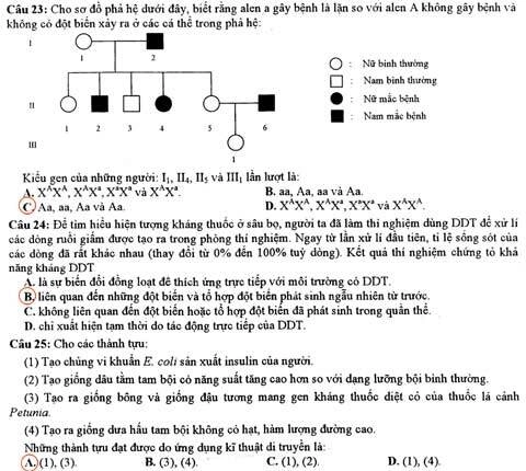 trang32-1348766460_480x0.jpg