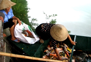 Người dân đến