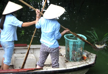 Nhân viên bảo vệ đền Ngọc Sơn cũng được huy động vớt xác cá. Ảnh: H.A