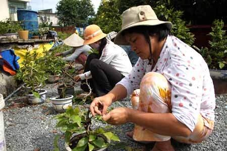 chammai-1348802620_480x0.jpg
