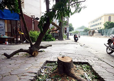 Hiện trường sự việc. Ảnh: Vạn Xuân