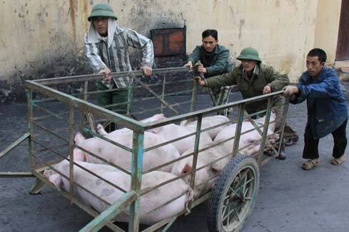 tet-20-733898-1368798127_500x0.jpg