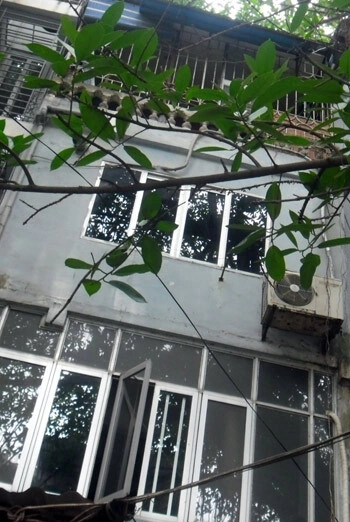 mang-1349353914_480x0.jpg