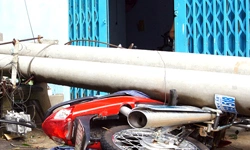 Bão Pakhar tàn phá Bình Dương