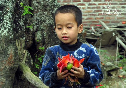 Nâng niu từng cánh hoa