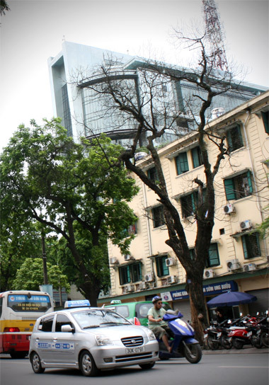 cay-chet-kho-057-1349852545_480x0.jpg