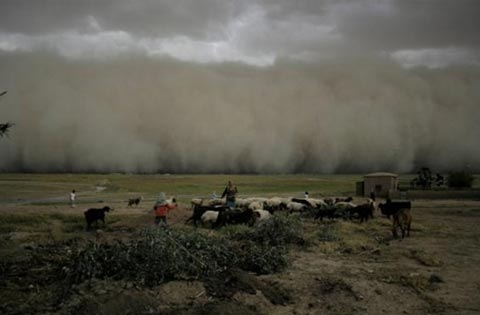 Những hạt cát nóng tới 50 độ C khi táp vào người có thể gây ngất xỉu, hôn mê. Những hạt cát nóng tới 50 độ C khi táp vào người có thể gây ngất xỉu, hôn mê.