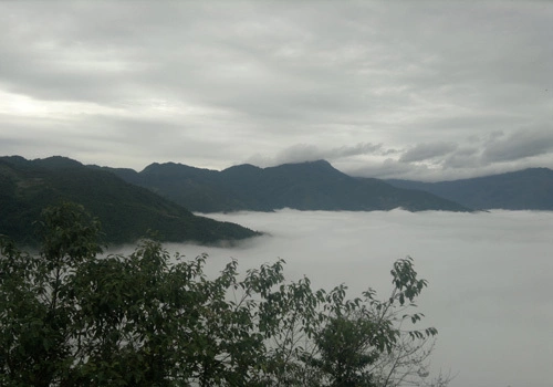6-1357540363_500x0.jpg