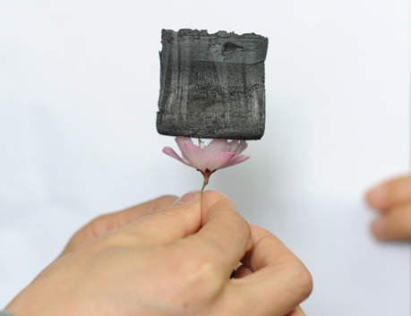 Một miếng carbon aerogel nằm trên bông hoa và những cánh hoa không cong. Ảnh: