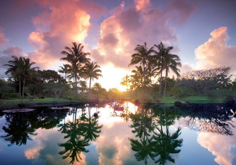 Vườn sinh thái Na Aina Kai Botanical, Hawaii. Được ví là một “thiên đường thực vật”, Na Aina Kai Botanical quy tụ những loài thực vật, sinh vật cảnh quý hiếm bậc nhất thế giới với khoảng 240 loài. Đây cũng là “khu vườn hoang dại” nhất thế giới. Vườn sinh thái Na Aina Kai Botanical, Hawaii. Được ví là một “thiên đường thực vật”, Na Aina Kai Botanical quy tụ những loài thực vật, sinh vật cảnh quý hiếm bậc nhất thế giới với khoảng 240 loài. Đây cũng là “khu vườn hoang dại” nhất thế giới.