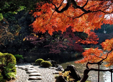 Vườn thực vật Koishikawa Korakuen, Nhật Bản. Koishikawa Korakuen là một trong những khu vườn của Tokyo có phong cảnh cổ kính và đẹp nhất ở Nhật Bản. Koishikawa Korakuen hấp dẫn du khách tất cả các mùa trong năm, nhưng đặc biệt từ giữa tháng 11, khi phong cảnh ngập tràn trong sắc thắm mùa thu. Koishikawa Korakuen chỉ cách nhà ga Iidabashi 5-10 phút đi bộ hoặc đi bộ 10 phút từ nhà ga Korakuen trên tuyến tàu điện ngầm Marunouchi và Nanboku. Vườn thực vật Koishikawa Korakuen, Nhật Bản. Koishikawa Korakuen là một trong những khu vườn của Tokyo có phong cảnh cổ kính và đẹp nhất ở Nhật Bản. Koishikawa Korakuen hấp dẫn du khách tất cả các mùa trong năm, nhưng đặc biệt từ giữa tháng 11, khi phong cảnh ngập tràn trong sắc thắm mùa thu. Koishikawa Korakuen chỉ cách nhà ga Iidabashi 5-10 phút đi bộ hoặc đi bộ 10 phút từ nhà ga Korakuen trên tuyến tàu điện ngầm Marunouchi và Nanboku.