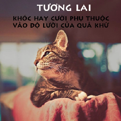 Suy ngẫm&