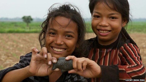 83014550-ironfish-children-6996-14321720