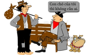 Con chó này không phải của tôi