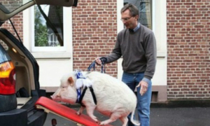 Khi đàn ông quậy (phần 4)