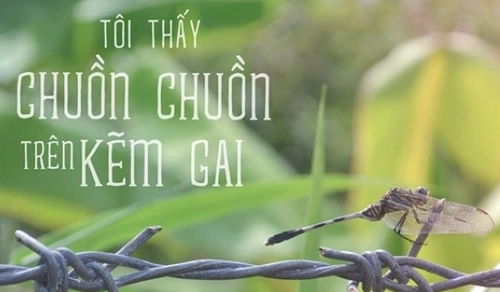 nhung-hang-muc-dinh-dam-nhat-cua-nam-2015-5