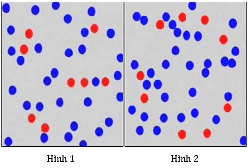 chi-1-nguoi-nhin-thay-dieu-bi-n-khi-ghep-hai-buc-hinh-nay