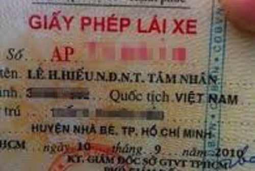 nhung-kieu-dat-ten-doc-nhat-vo-nhi-tai-viet-nam-1