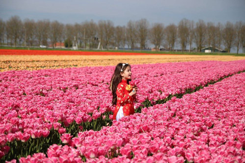 ngam-thien-than-lai-goc-viet-duyen-dang-tren-canh-dong-tulip-8
