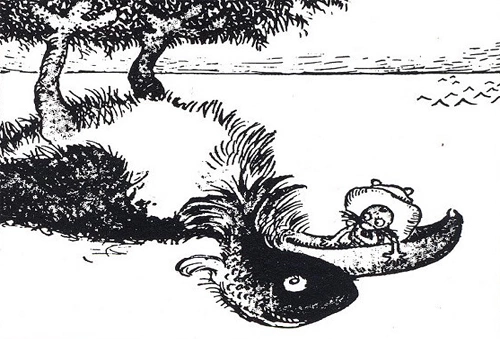 tai-sao-ca-lang-khuyen-nguoi-dan-ong-khong-cau-ca-o-khu-vuc-nay