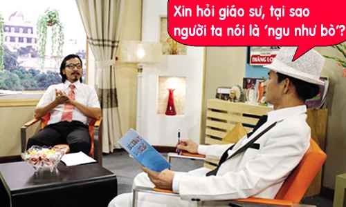 tai-sao-nguoi-ta-hay-noi-la-ngu-nhu-bo