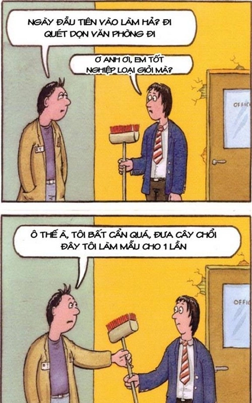 Thực trang sinh viên mới ra trường.