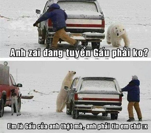 Không phải gấu nào anh cũng thích.