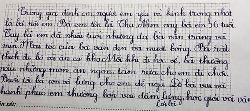 nhung-bai-van-mieu-ta-chat-nhat-qua-dat-cua-hoc-tro-6