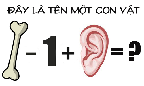 day-la-ten-con-vat-nao