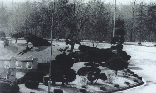 du-khach-lien-xo-khien-bien-gioi-lien-trieu-do-mau-nam-1984