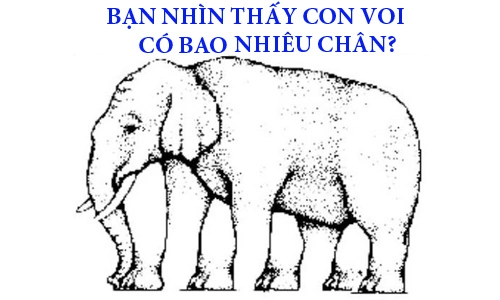 70-nguoi-khong-dem-duoc-con-voi-co-bao-nhieu-chan-con-ban-page-2