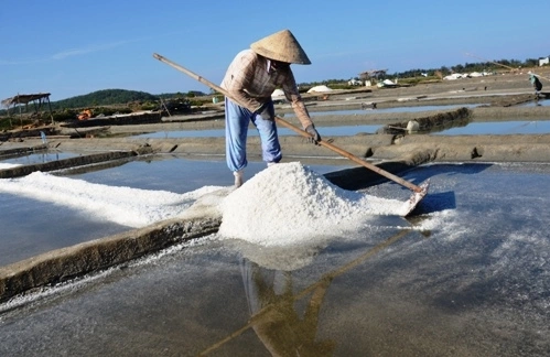 Một phụ nữ vun muối thành đống trên đồng muối Sa Huỳnh. Ảnh: Phạm Linh.