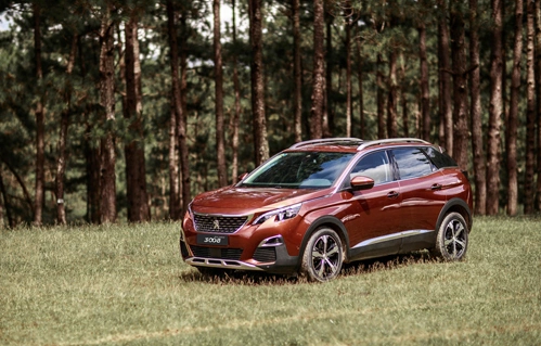 Khám phá văn hóa Pháp cùng xe Peugeot - 3