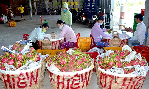 Đẩy mạnh xuất khẩu nông sản vào thị trường Trung Quốc