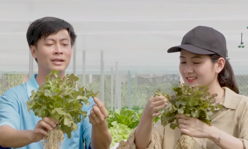 Rau thủy canh công nghệ Isarel