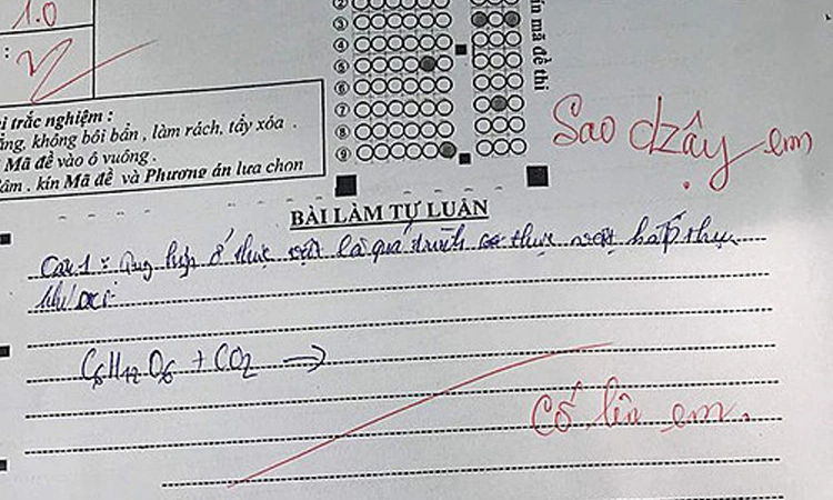 Giáo viên phê cố lên em khi học sinh bị điểm kém