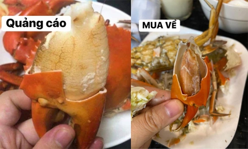 Sự Thật Lời Đồn: Ăn Cua Vào Ngày Rằm Sẽ Bị Ốp 2025 - Phân Biệt & Cách Chọn Cua Ngon Không Bị Lừa 2 Cua bị ốp - Tin tức mới nhất 24h qua - Báo VnExpress