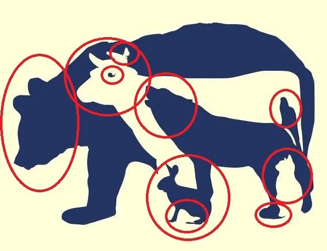 Có mấy con vật trong tranh? - Báo VnExpress