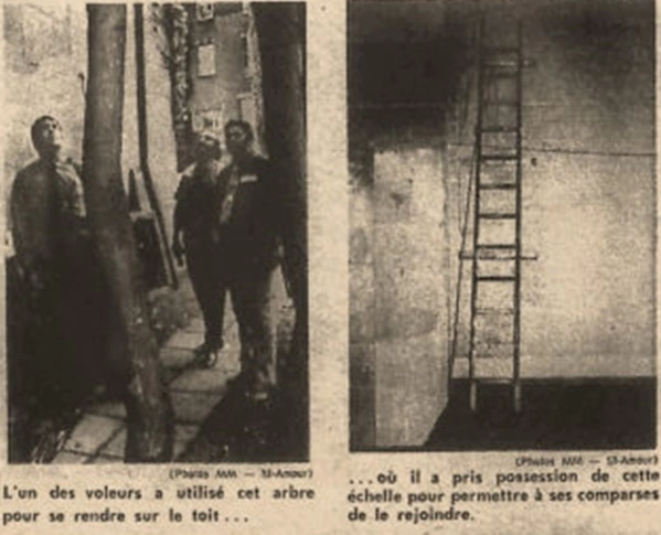 Cảnh sát tìm kiếm manh mối ở cái cây và chiếc thang được nhóm trộm sử dụng. Ảnh: Courtesy Library and Archives Canada