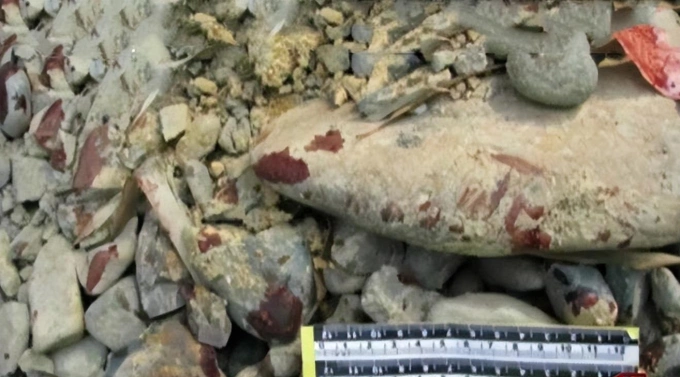 Những dấu máu bên suối. Ảnh: LNTV