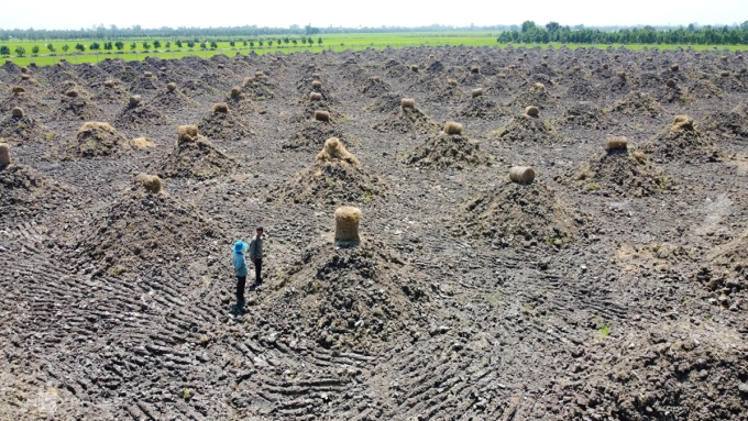 2 ha đất lúa tại Tân Lập, Tân Thạnh (Long An) vừa được san phẳng, đắp mô để trồng sầu riêng. Ảnh: Hoàng Nam