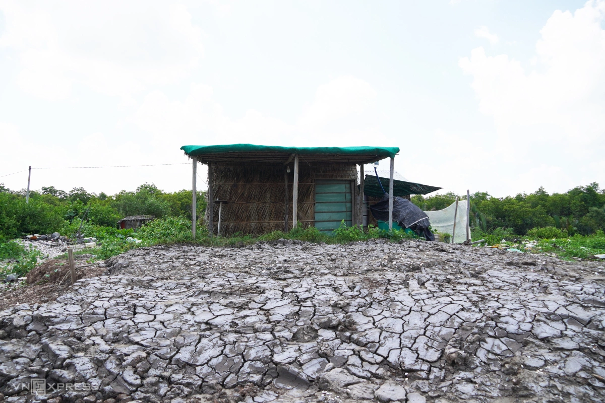 Mekong Delta province coastline devastated by erosion