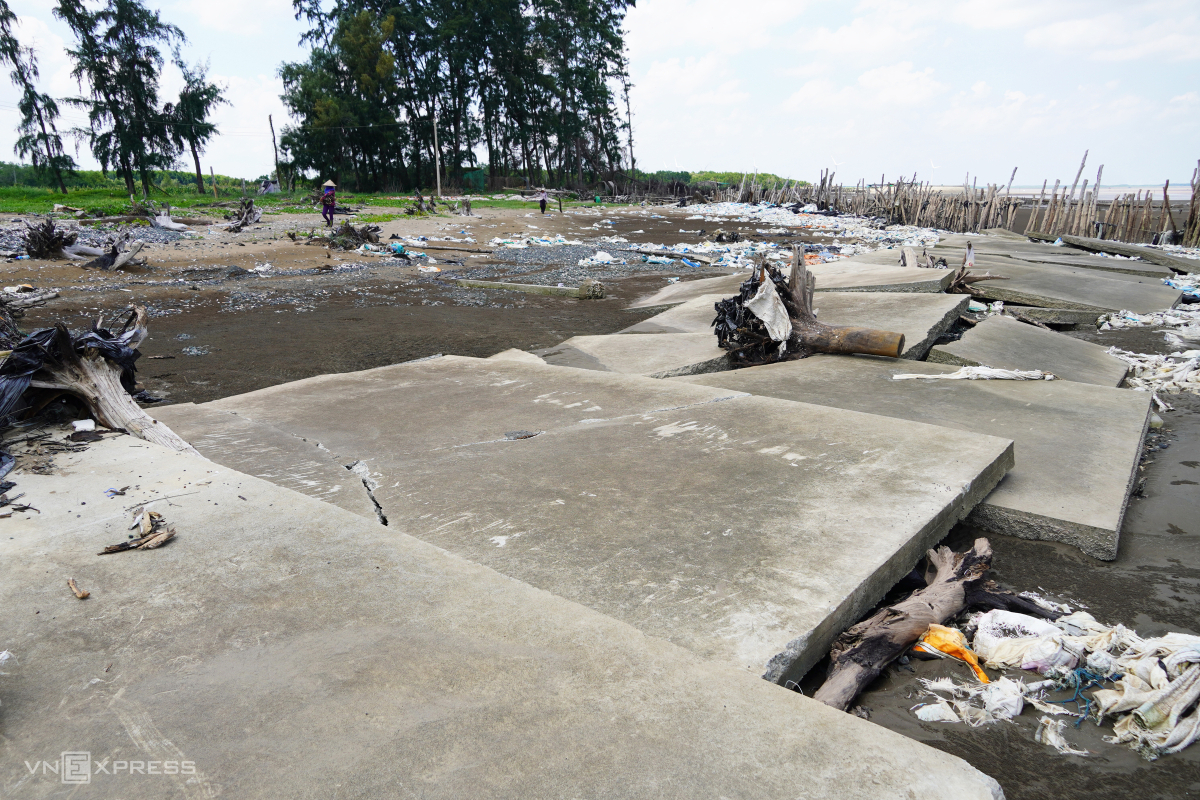 Mekong Delta province coastline devastated by erosion