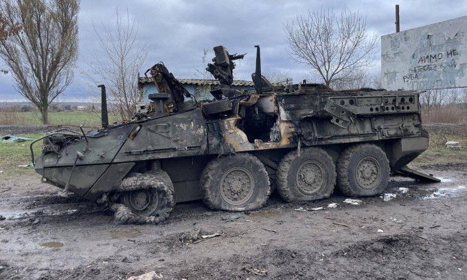 Một xe Stryker Ukraine bị lực lượng Nga phá hủy ở tỉnh Zaporizhzhia cuối năm 2023. Ảnh: Twitter/Archer83Able