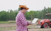 Về quê khởi nghiệp sau 7 năm 'sống mắc kẹt' tại Hà Nội