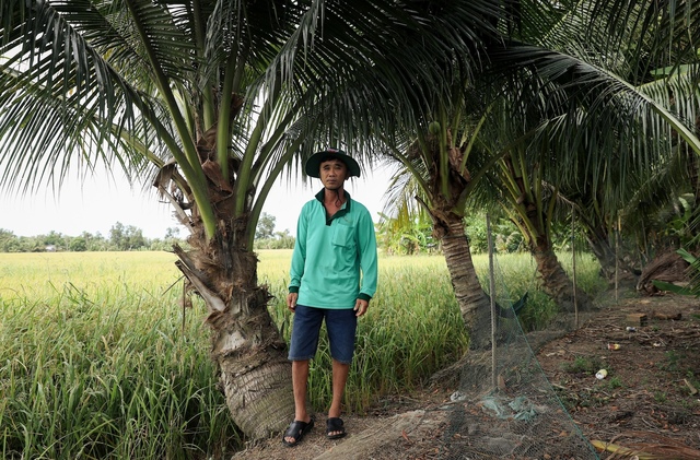 Ông Lê Văn Hùng (xã Vị Trung, huyện Vị Thuỷ, Hậu Giang) có 0,8 ha đất trồng lúa. Diện tích nhỏ nên lợi nhuận thấp, ông phải nuôi thêm vịt, ba ba, trồng dừa để tăng thu nhập. 950A3682-copy-8242-1724513103.jpg