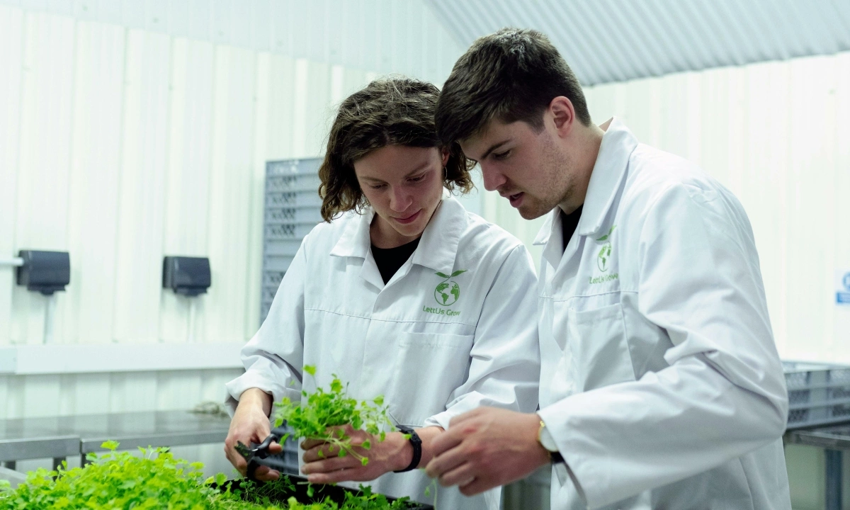 Học gì để trở thành chuyên gia phát triển bền vững? - Báo VnExpress