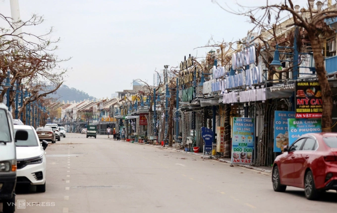 Đường Hạ Long, TP Hạ Long (tỉnh Quảng Ninh) một tháng sau bão Yagi hoành hành. Ảnh: Thanh Tân
